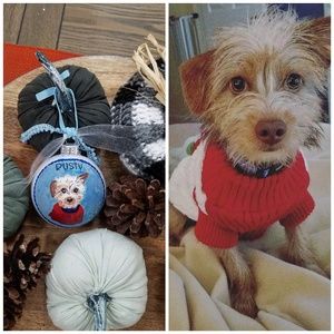Commission an ornament of your pet.